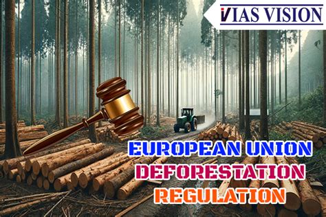 Eu Commission Proposes Delay For Anti Deforestation Law Ias Vision