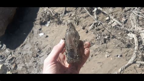 Mudlarking Oklahoma Bottles Coins Relics Creek Finds Lostplaces Lost