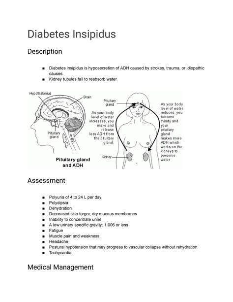 Diabetes Insipidus Carmines Diabetes Insipidus Description Diabetes Insipidus Is