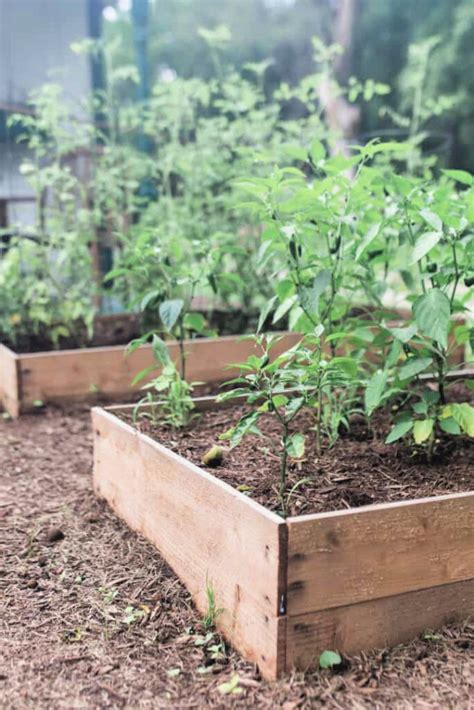 30 Free DIY Raised Garden Bed Plans (PDF Instructions)