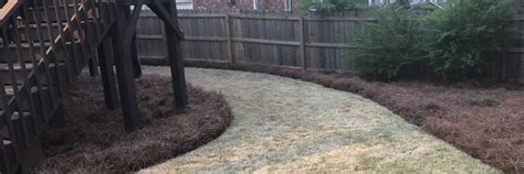 Atlanta Pine Straw Installation | Sandy Springs GA Pine Straw Landscaping