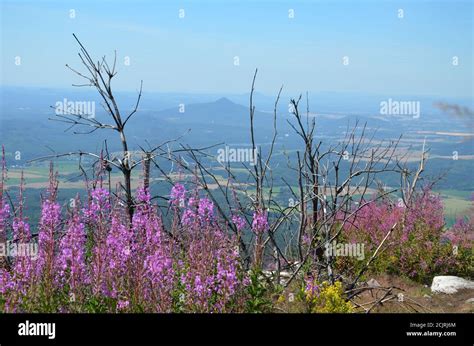 landscape at Mount Jested Liberec Stock Photo - Alamy