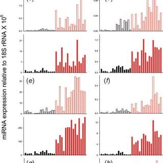 Validation Of Precursor And Mature Mirna Levels The Expression Of