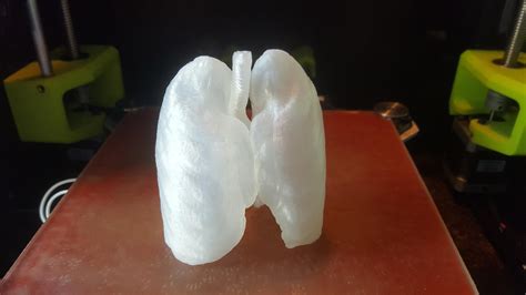 3d Printed Lung