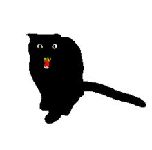 Cat Black Mau Meow GIF - Cat Black Mau Meow - Discover & Share GIFs