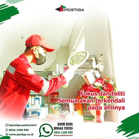 Anti Rayap Murah Jasa Pest Control Jakarta Jasa Termite Control