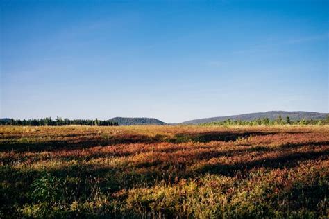 Plan De D Veloppement De La Zone Agricole Mrc Du Fjord Du Saguenay