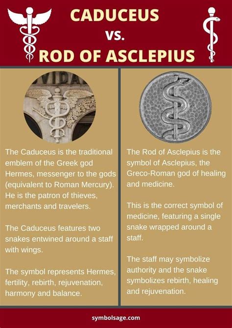 Caduceus vs. Rod of Asclepius | Caduceus symbol, Greek gods, Medical ...