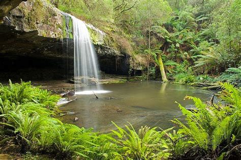 Lower Kalimna Falls Otways Waterfall Photography