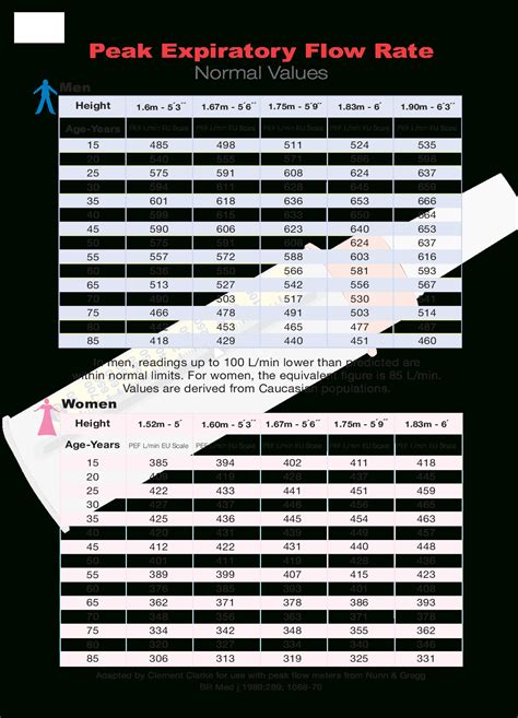 Peak Flow Tracking Chart Example Calendar Printable