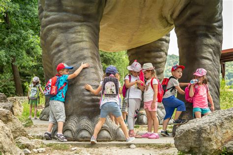 Propozycje wycieczek szkolnych do Parku Dinozaurów dla dzieci i młodzieży