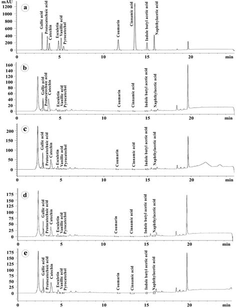 Hplc Chromatograms Showing Flavonoids Profiles In Leaves Of Wheat