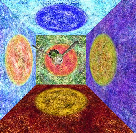 Broadtail Hummingbird In A Nexus Of Five Portals Photograph By Gregory