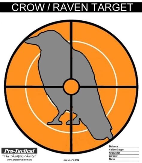 Silhouette With Anatomical Markings Free Printable 50 Pack Bulls Eye