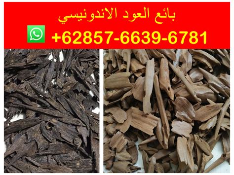 افضل انواع العود الاندونيسي Whatsapp 62 85766396781 By