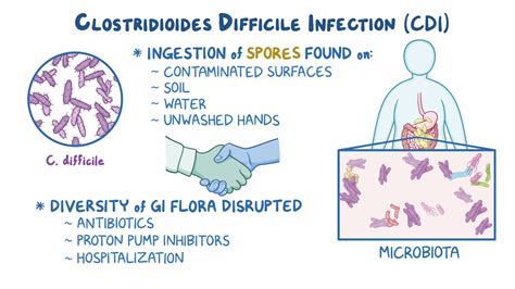 Clostridium Difficile Toxin