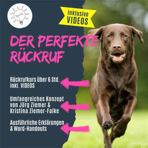 Der perfekte Rückruf inkl VIDEOS Hundeschulkonzepte