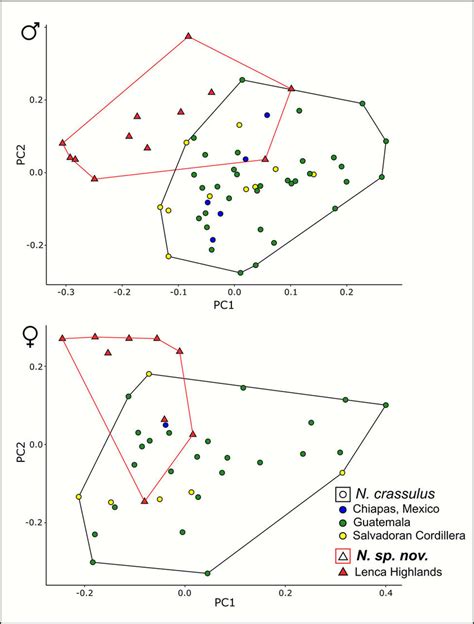 Plots Of The First Two Principal Components For Males A And Females