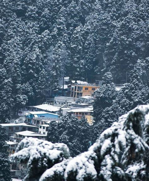 Season's first snowfall at Nainital Uttarakhand India. courtesy : @uv_bisht . . . #unciatrails # ...