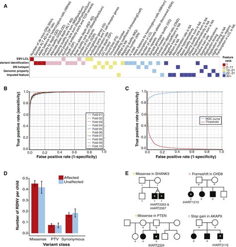 Inherited And De Novo Genetic Risk For Autism Impacts Shared Networks Cell