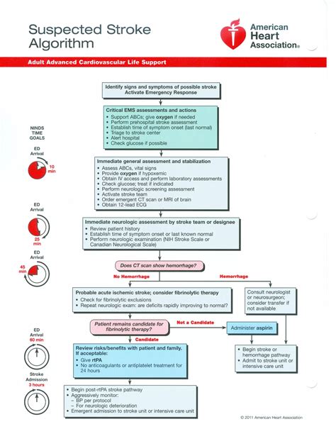 Acls Algorithms Pdf