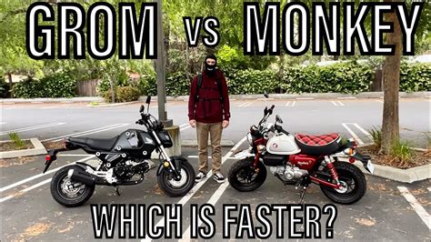 Grom Vs Monkey Which Is Faster Youtube