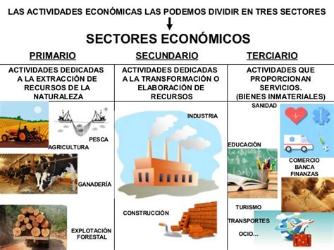 Setor Primario Secundario Terciario - Sector primario, secundario y terciario: diferencias y ejemplos ...