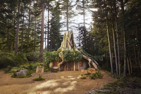 Spend The Night In Shreks Swamp Now On Airbnb