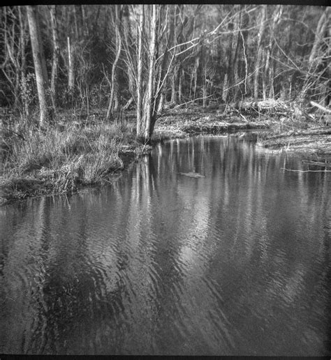 Lagoon Reflections Beaver Lake Bird Sanctuary Asheville Flickr