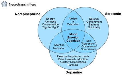 Neurotransmitters CaferMed