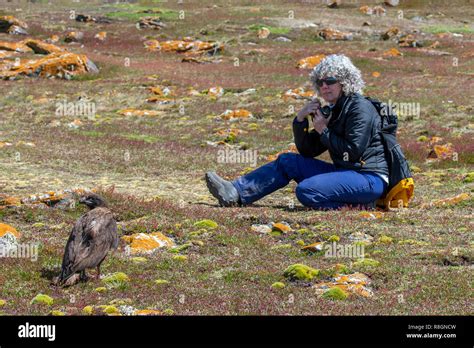 Johnny kingdom wildlife hi-res stock photography and images - Alamy