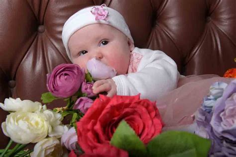 We Have Beautiful Flowers For All Occasions At Mahers Florist