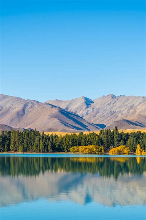 10 Incredible Things To Do In Lake Tekapo Lupins Stars Views More