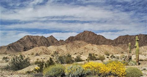 buncha pictures yuma desert