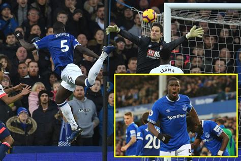 Everton 2-0 Bournemouth: Toffees win hard-fought battle of mid-table ...