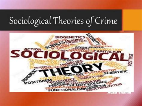 Sociological Theories Of Crimepptx