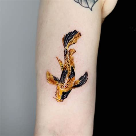 25+ Amazing Koi Fish Tattoo Designs To Transform Your Body!