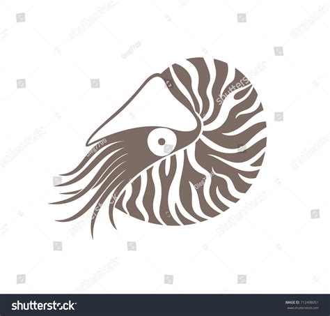 Nautilus Logo Isolated Nautilus On White Stock Vector (Royalty Free ...