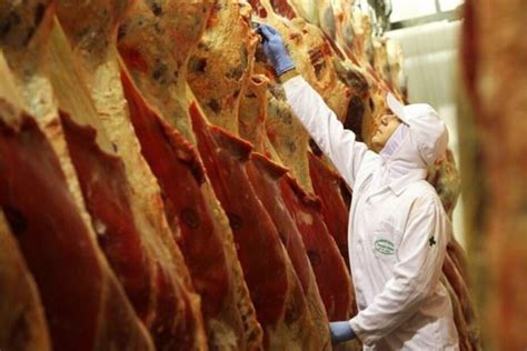 Brasil Recorde Na Exporta O De Carne Bovina