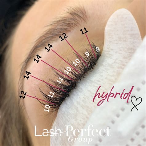 Lash Mapping – Creating the Best Lashes For Your Clients