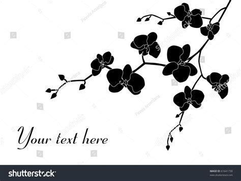 Orchid Branch Silhouette Stock Illustration 61641730 Shutterstock