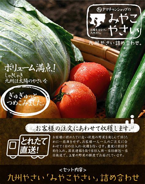 九州野菜お試しセット・詰め合わせ： 自然の都タマチャンショップ