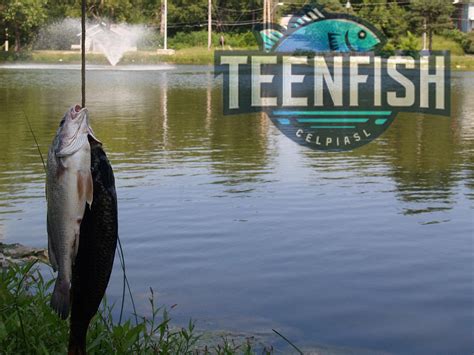 Kansas Fishing License 2024 - TeenFish