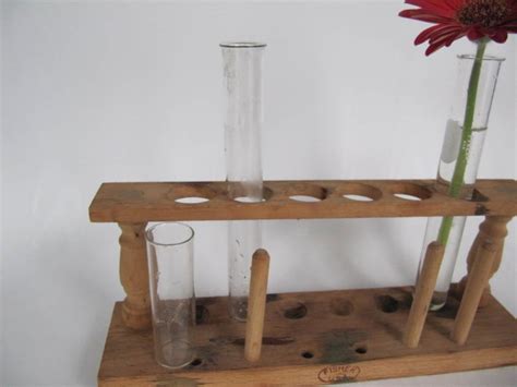 Vintage Science Test Tube Holder With Three Test Tubes Flower Etsy