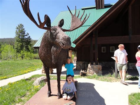 Life In A Whirlwind State Forest State Park