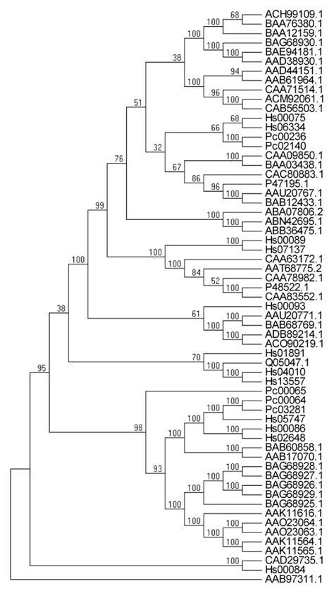 Phylogenetic analysis of full-length CYP450 genes from H. serrata and ...