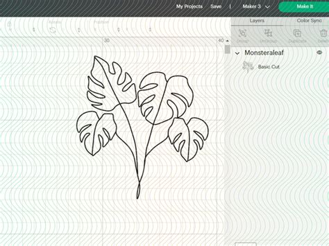 Monstera Leaf Svg Monstera Svg Monstera Deliciosa Monstera Etsy