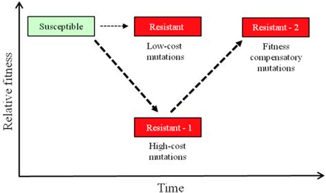 Antibiotics Free Full Text Rifampicin Resistance Fitness Costs And The Significance Of