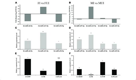 Expression Patterns Of Five Differentially Expressed Mirnas And Their