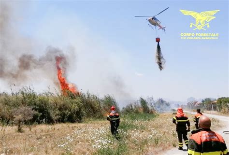 Incendio A Perfugas Elicottero In Azione Cronache Nuoresi